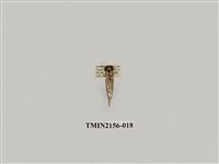 藏品(臺美波紋蛾)的圖片